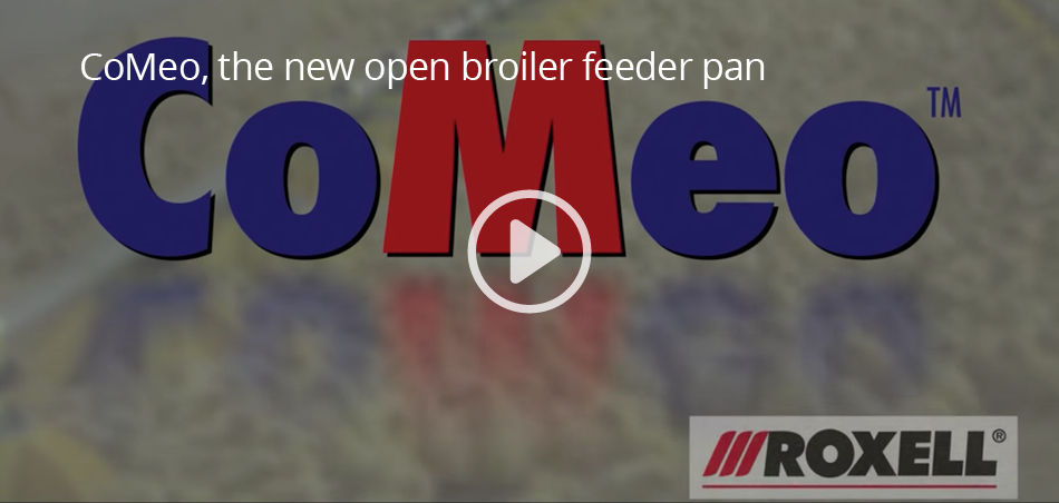 CoMeo, the new open broiler feeder pan
