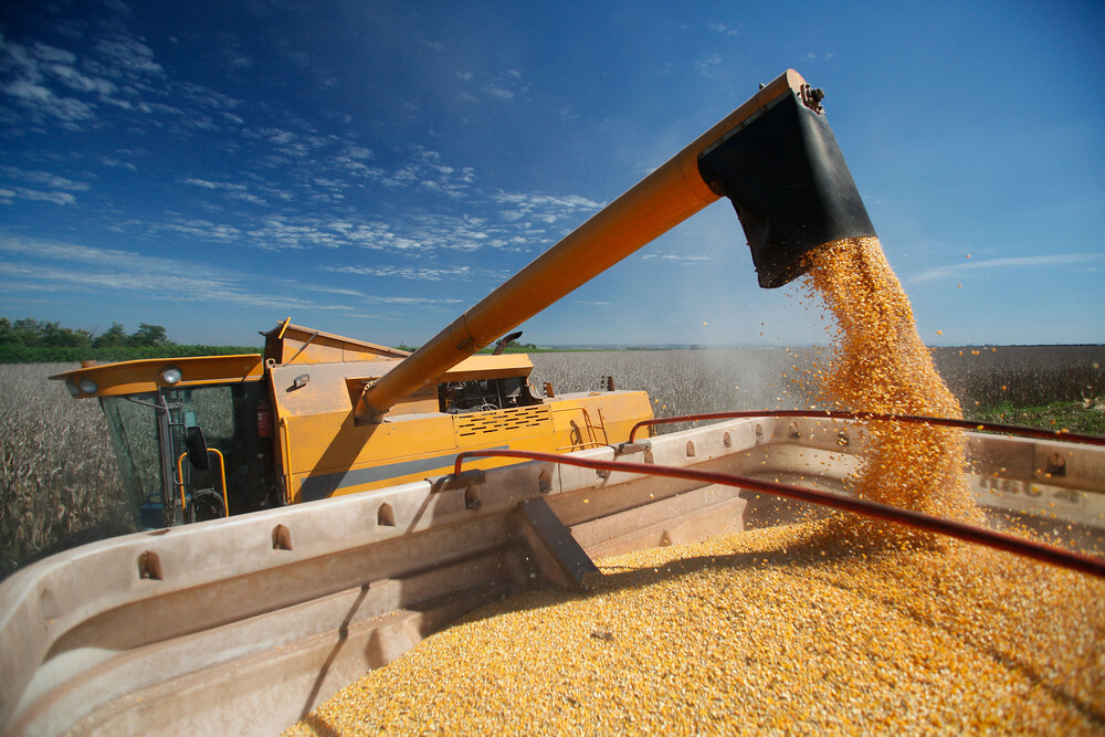 South Korea’s MFG buys about 136,000 T corn in soft