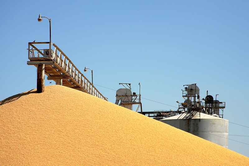 China 2024 grain imports observed close to document prime
