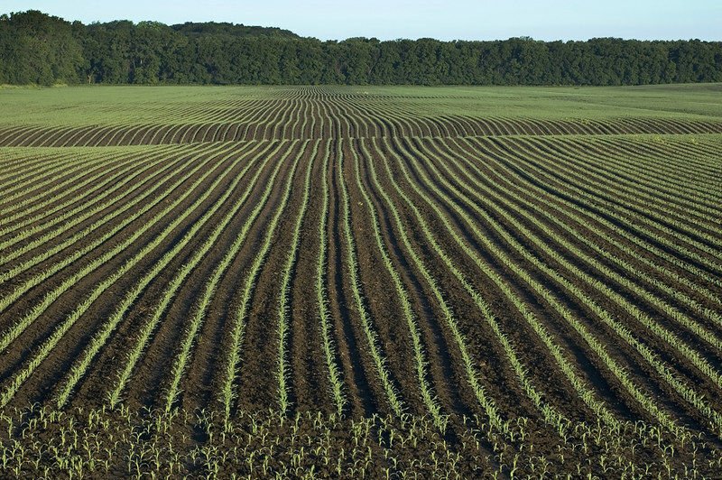 Fertilizer shortages threaten spring planting in US, Canada