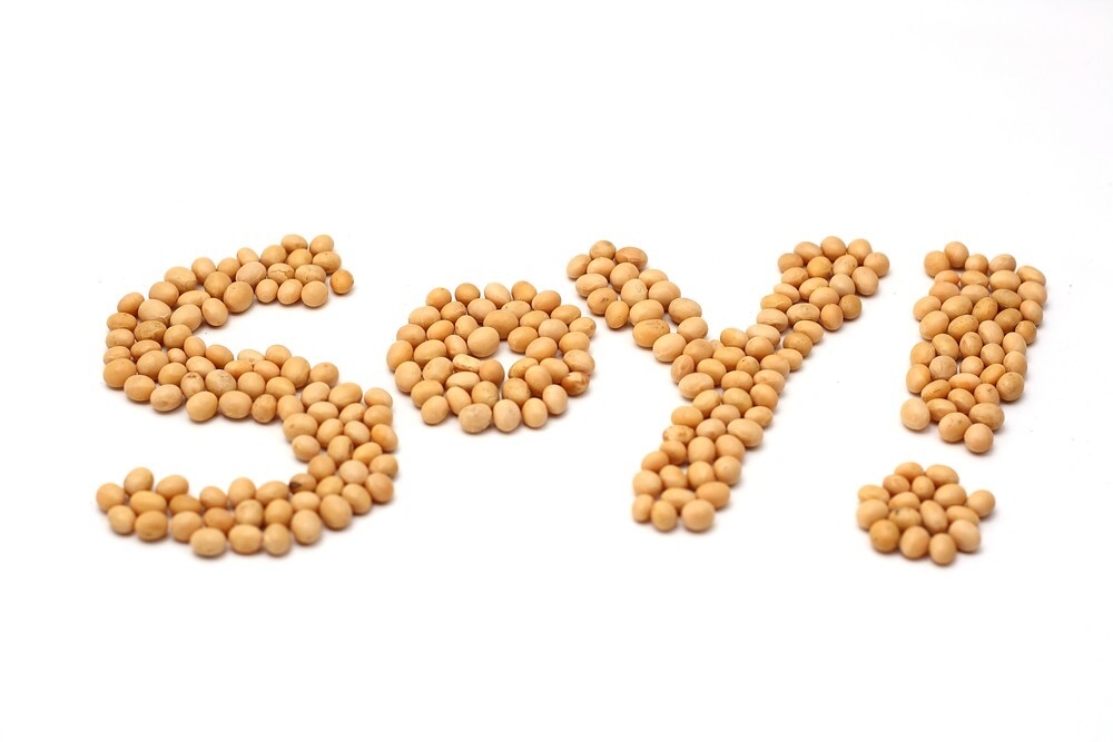 Farmers poised to extend US soy exports at the heels of Soy Connext