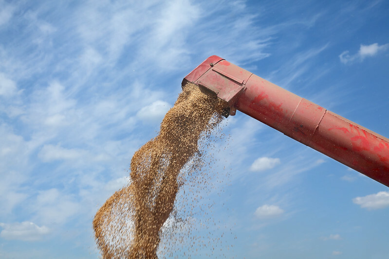 Russian wheat exports stay greatest chance to US wheat elevators – CoBank