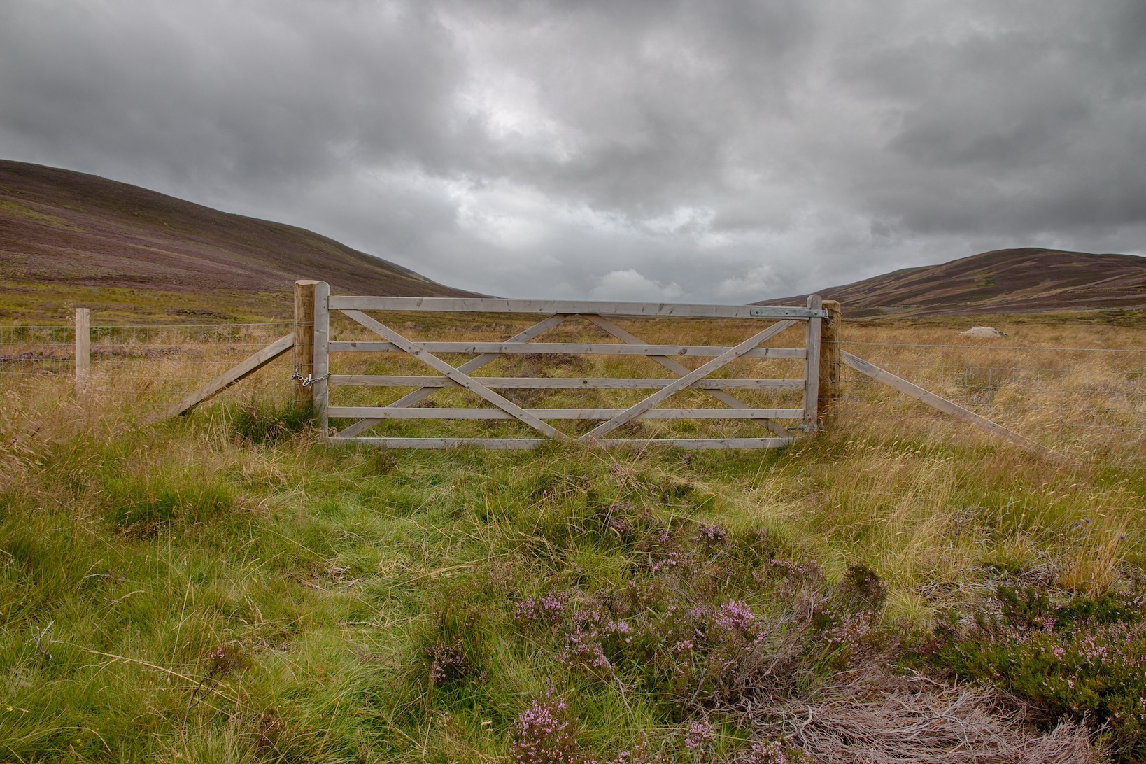 Enhancements in Tyson’s rooster trade offsetting red meat demanding situations