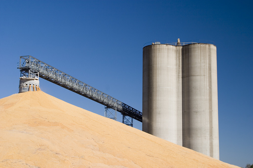 Argentina cuts grain export taxes to bolster farm sector