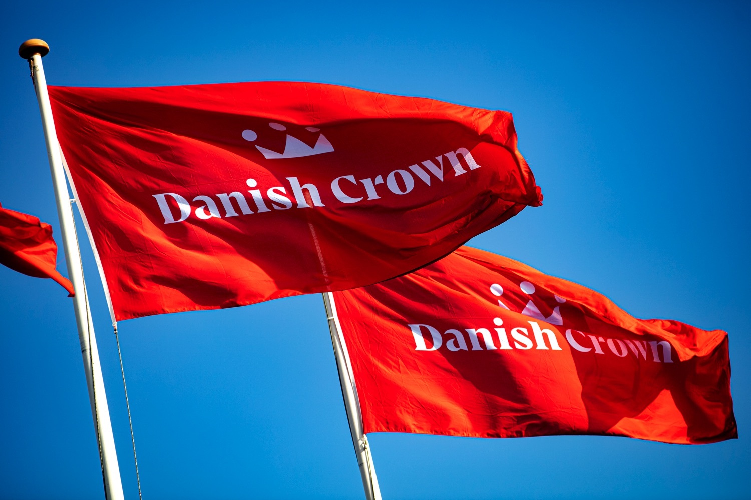 Duties squeeze Danish Crown and cut farmer payouts