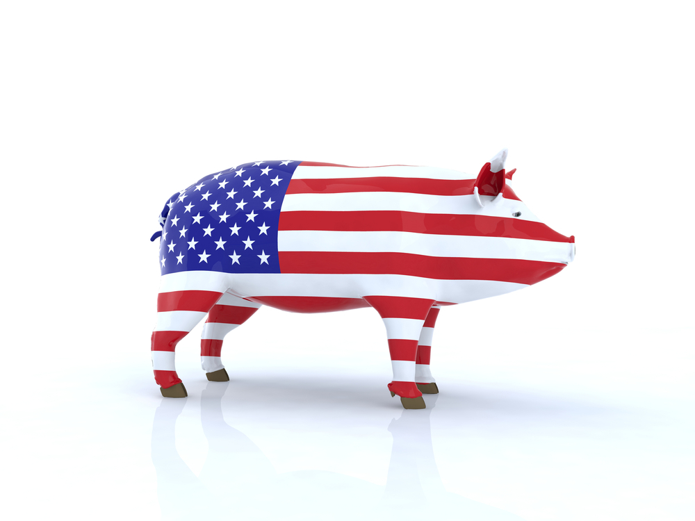 US pig inhabitants will increase quite – ISN