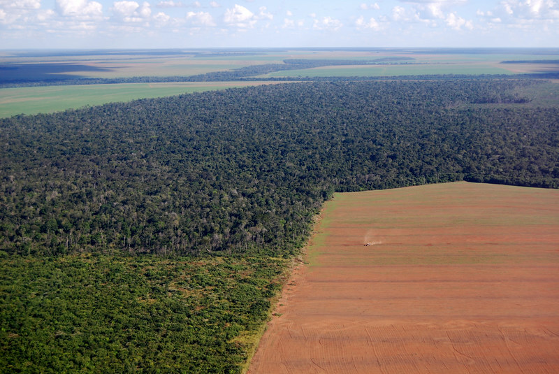 Brazilian banks pushed to limit credit for meatpackers tied to deforestation
