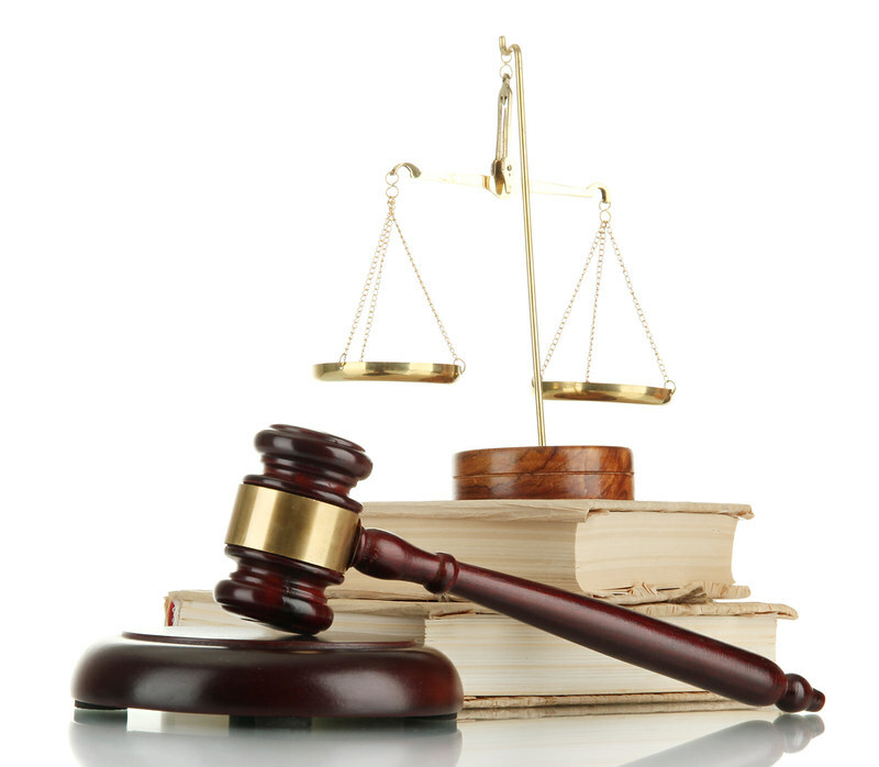 Extra bipartisan Senate expenses take intention at curtailing US kid labour