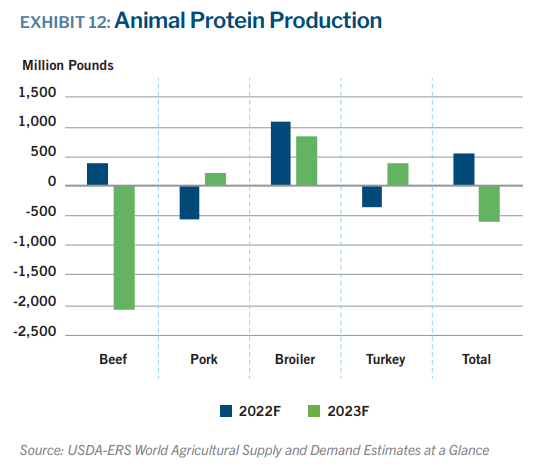 Meat and Poultry Processing Equipment Market Size, Growth,Outlook Report  2033