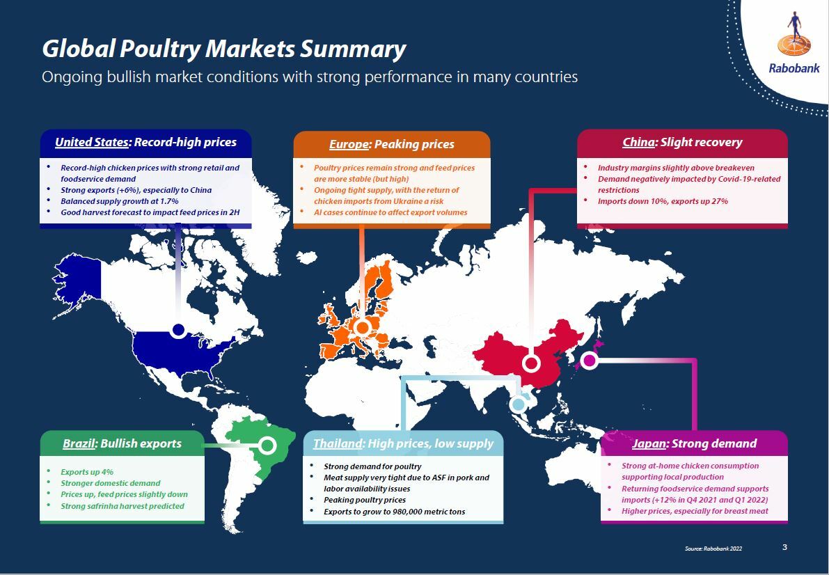 Rabobank Global Poultry Market Summary July 2022