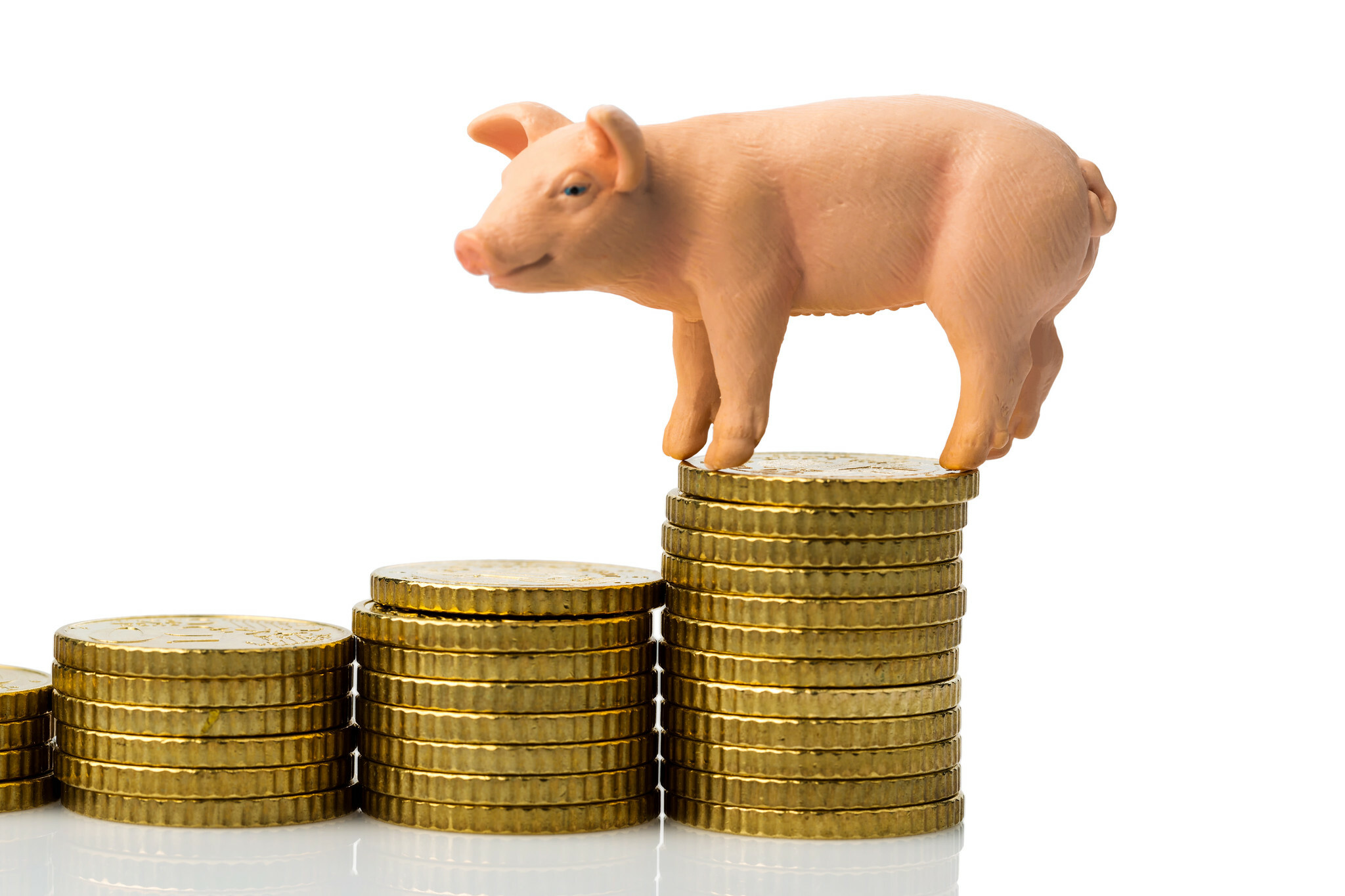 Pig Outlook: Lean Hog Futures Costs Trending Increased - My Honey Pet