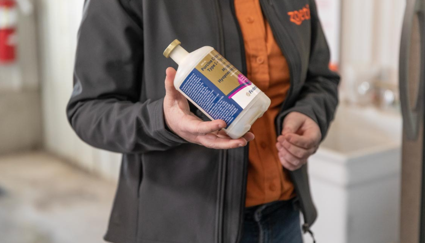 MetaStim and PCV2 vaccine synergy for tough cell-mediated immune reaction