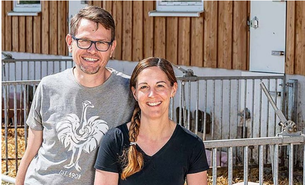 Germany: Giant Dutchman equips two properties for natural pig manufacturing