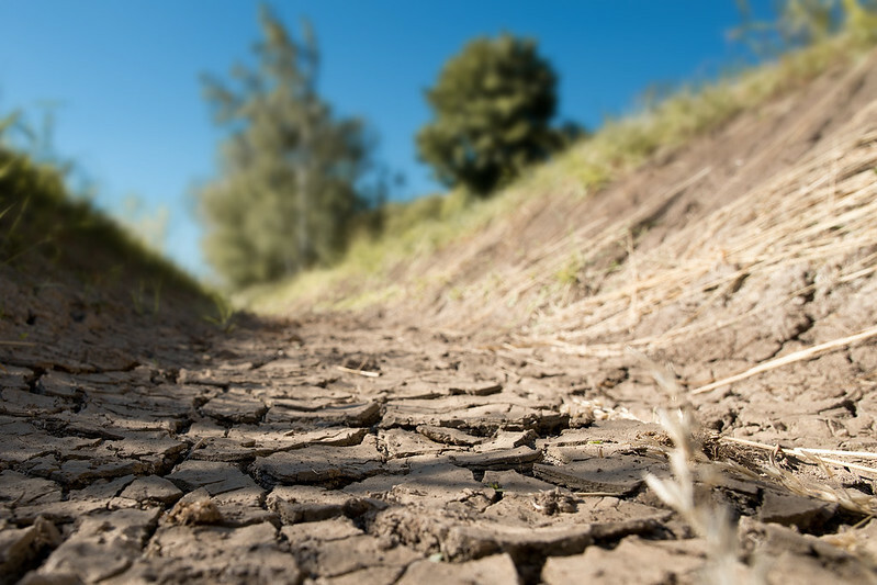 Central US drought intensifies | The Pig Website