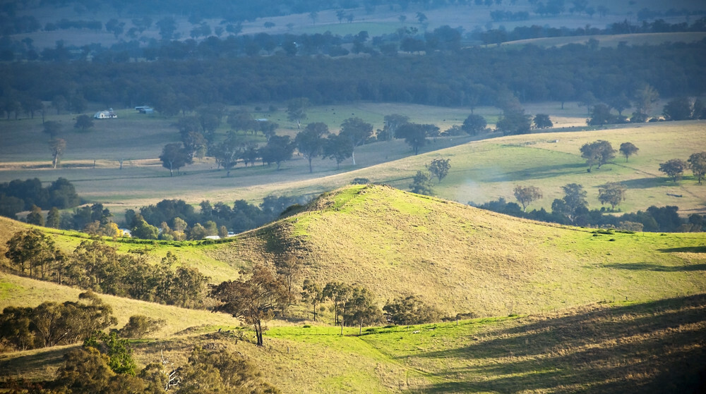 Rains carry Australian farm self belief, Rabobank survey presentations