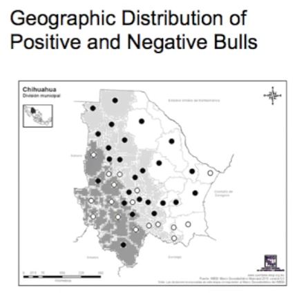 Geographic distribution of positive and negative bulls