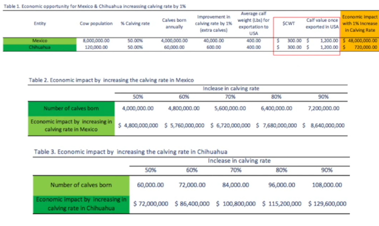 What was the testing’s return on investment?