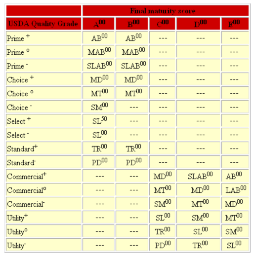 beef-quality-and-yield-grades-the-beef-site