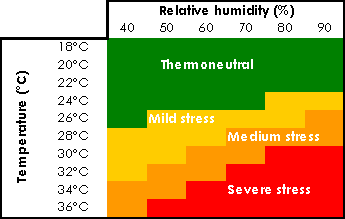 Heat Stress: Handling Cattle Through High Heat Humidity Indexes