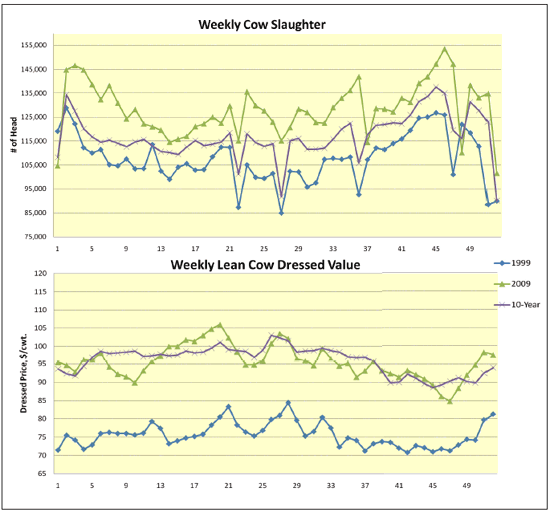 Weekly Cw Slaughter