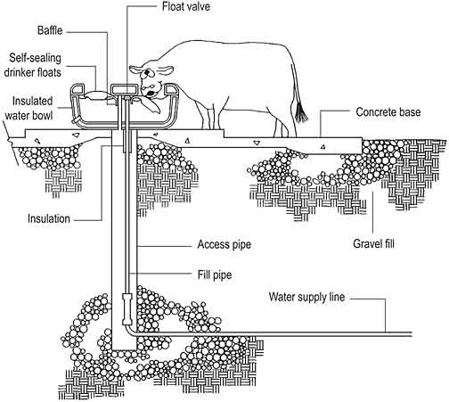 Cattle water outlet bowl