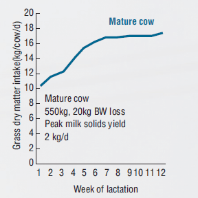 Managing Dairy with Regard to Milk Quota | The Cattle Site