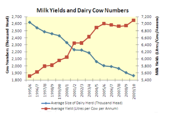 How to maximise dairy farm profits in warm countries - Dairy Global