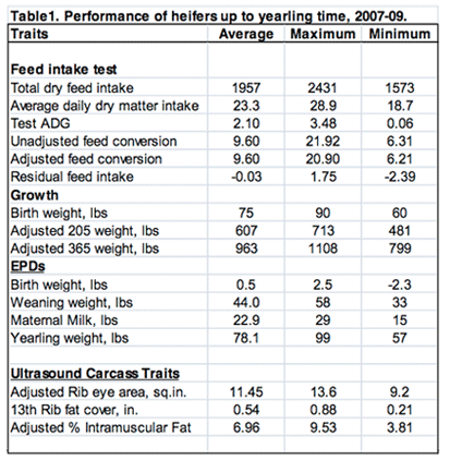 Feed Efficiency In Heifer Development & 1st Lactation | The Cattle Site