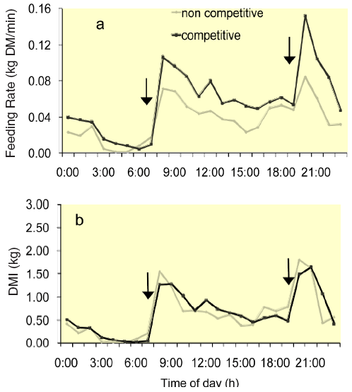 Figure 2. Hourly averages for a) feeding rate (kg DMI/min of
feeding time) and b) DMI for cows fed competitively or
noncompetitively. Arrows indicate fresh feed delivery times.