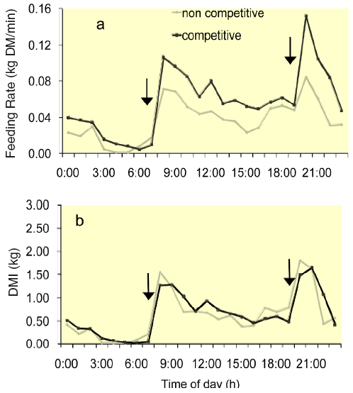 Figure 2. Hourly averages for a) feeding rate (kg DMI/min of
feeding time) and b) DMI for cows fed competitively or
noncompetitively. Arrows indicate fresh feed delivery times.