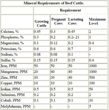 macro minerals and micro minerals