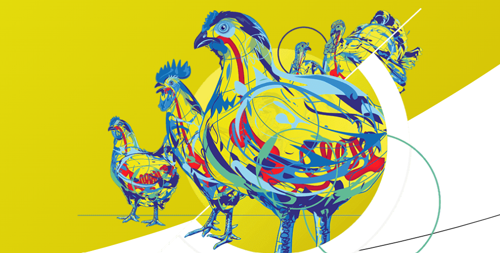 Muscle deposition extra necessary than fats expansion for FCR