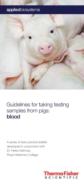 Blood - Swine Diagnostics