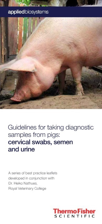 Cervical swabs, semen, and urine - Swine Diagnostics
