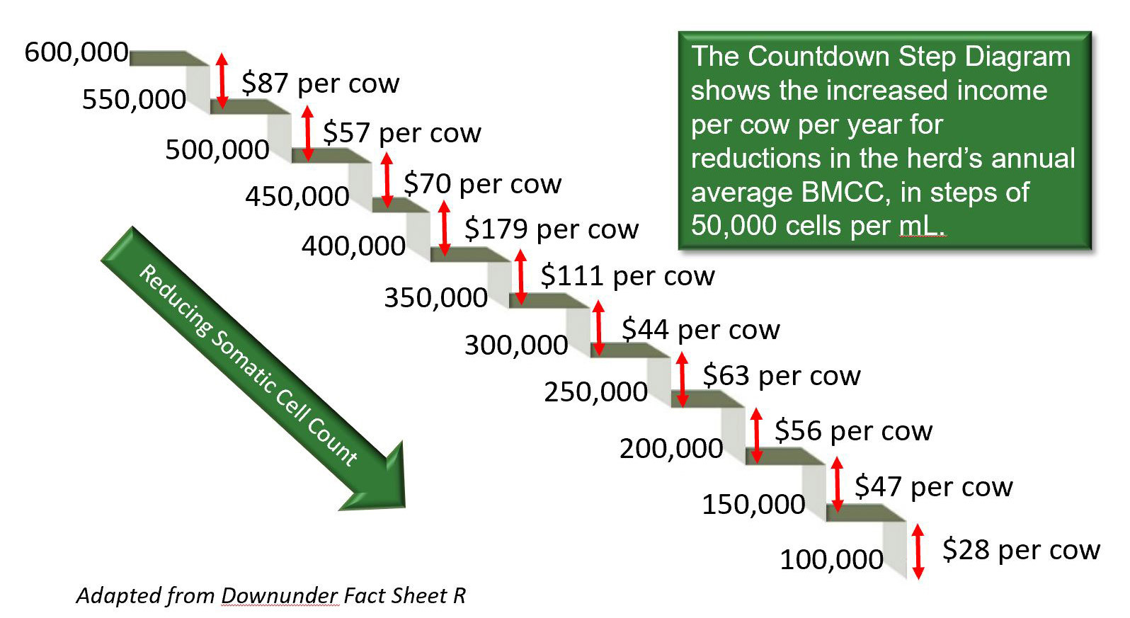 Bovine Diagnostics