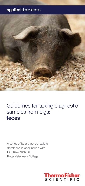 Feces - Swine Diagnostics