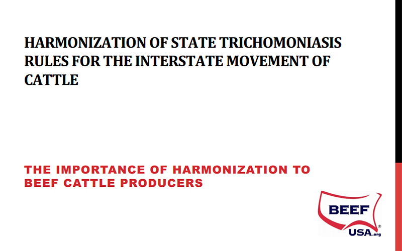 LifeTech - Harmonization of state trichomoniasis rules for the interstate movement of cattle