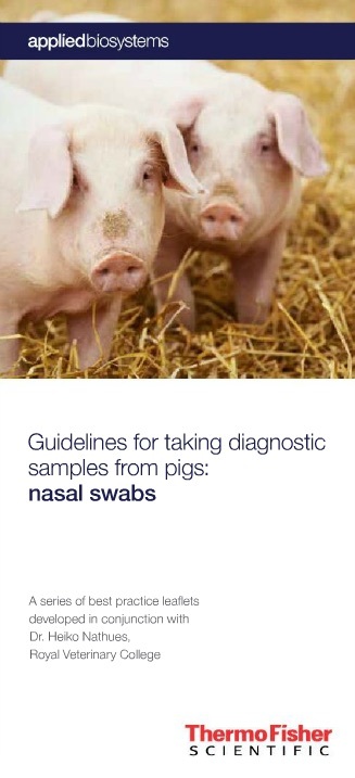 Nasal Swabs - Swine Diagnostics