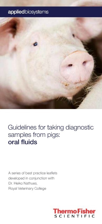 Oral Fluids - Swine Diagnostics