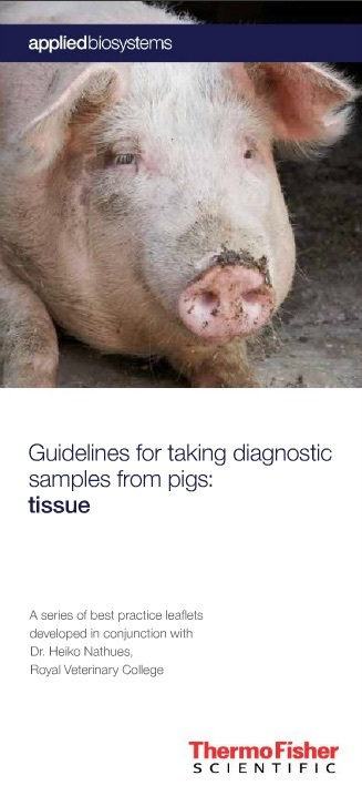 Tissue - Swine Diagnostics
