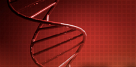 Impact of PRRS problem on genetic research of copy characteristics in Yorkshire