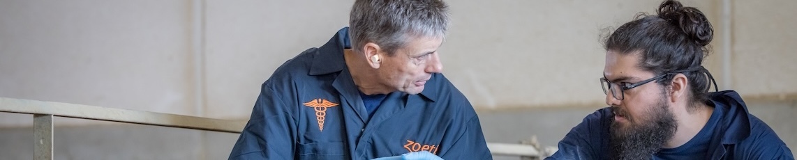 Investing in gilt care: How development drives lifetime sow productivity