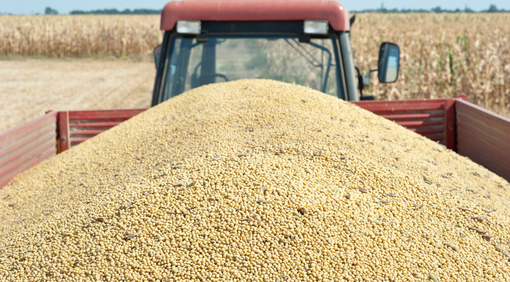 US soybean export gross sales drop to ancient low – CoBank