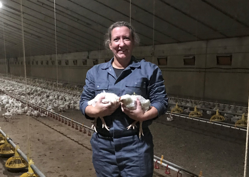 Premium Photo  Chicken farmer poultry farming and man with animals smile  and happiness while working in the countryside for sustainability portrait  of farm worker with animal for egg meat and protein