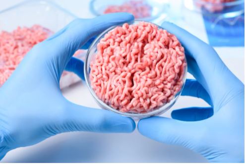 Generation Z aren’t ready to eat cultured meat but are concerned by the environmental impacts of traditional livestock farming, according to University of Sydney research.
