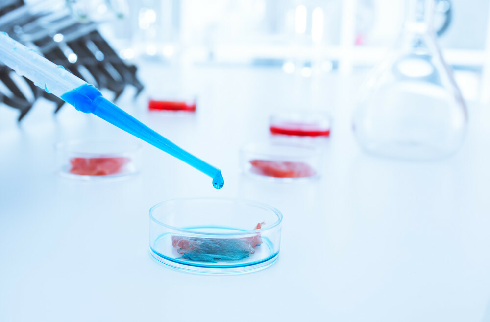 China lab-grown meat corporate CellX eyes US marketplace