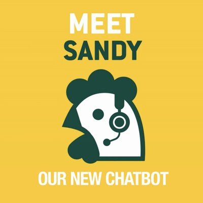Sanderson Farms launches rooster chatbot instrument
