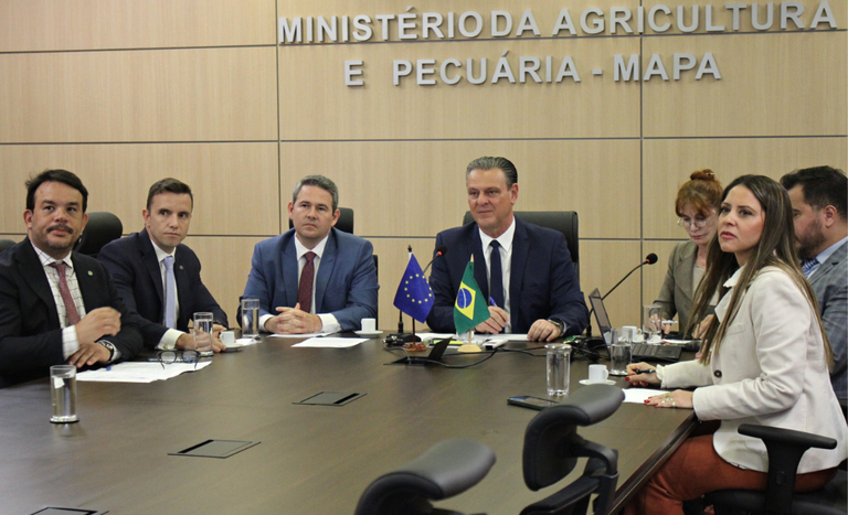 Brazil urges EU to lift bird flu ban on chicken exports