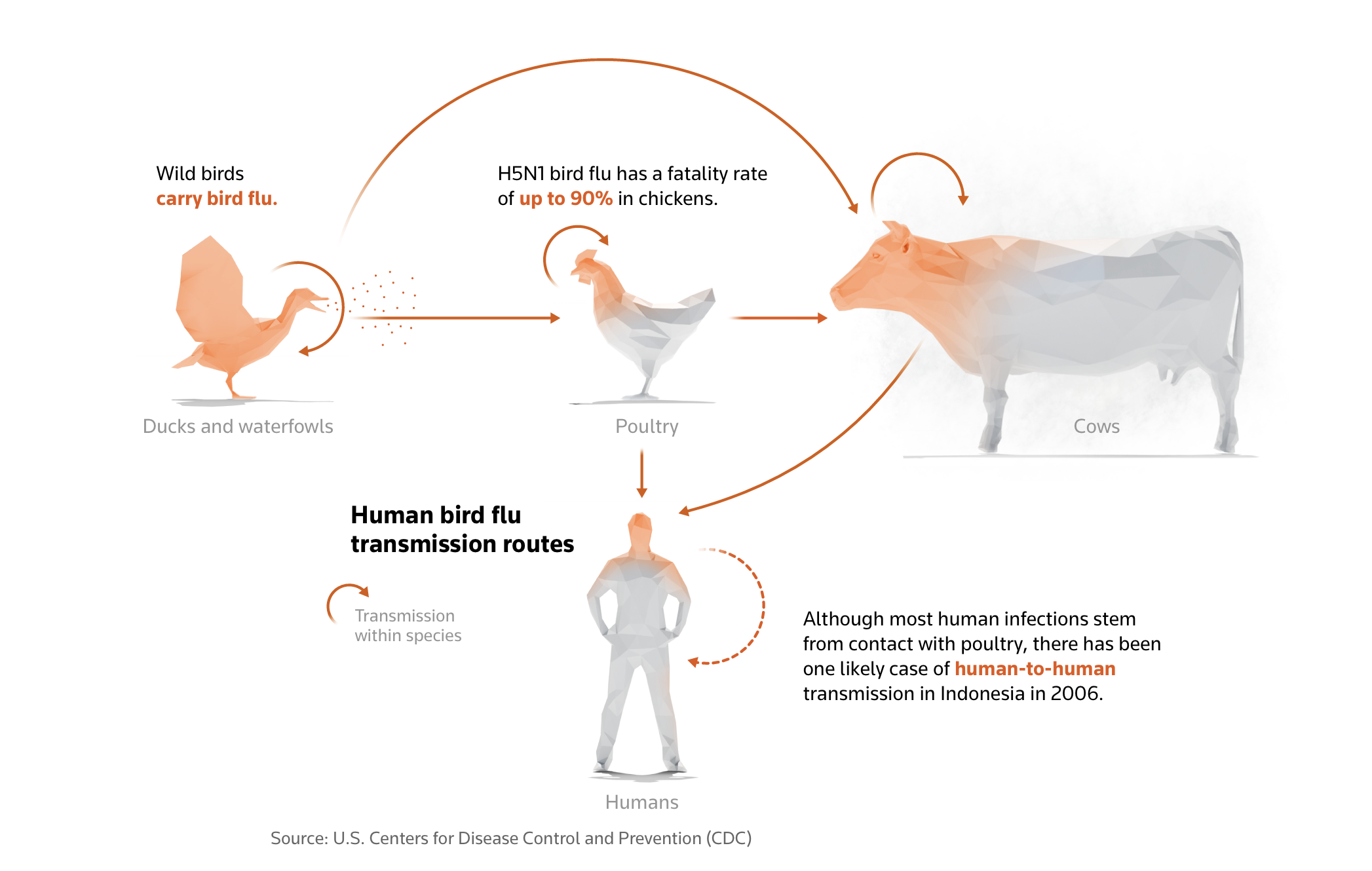 How humans can and can’t catch bird flu - Reuters | The Beef Site