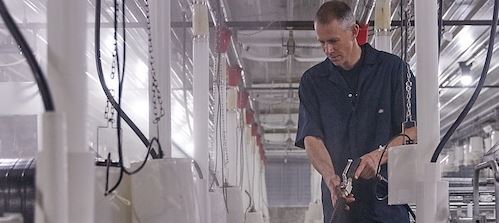 Swine industry outlook 2026: Trends shaping productivity, health and the future workforce